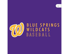 Blue Springs Wildcats State Baseball 