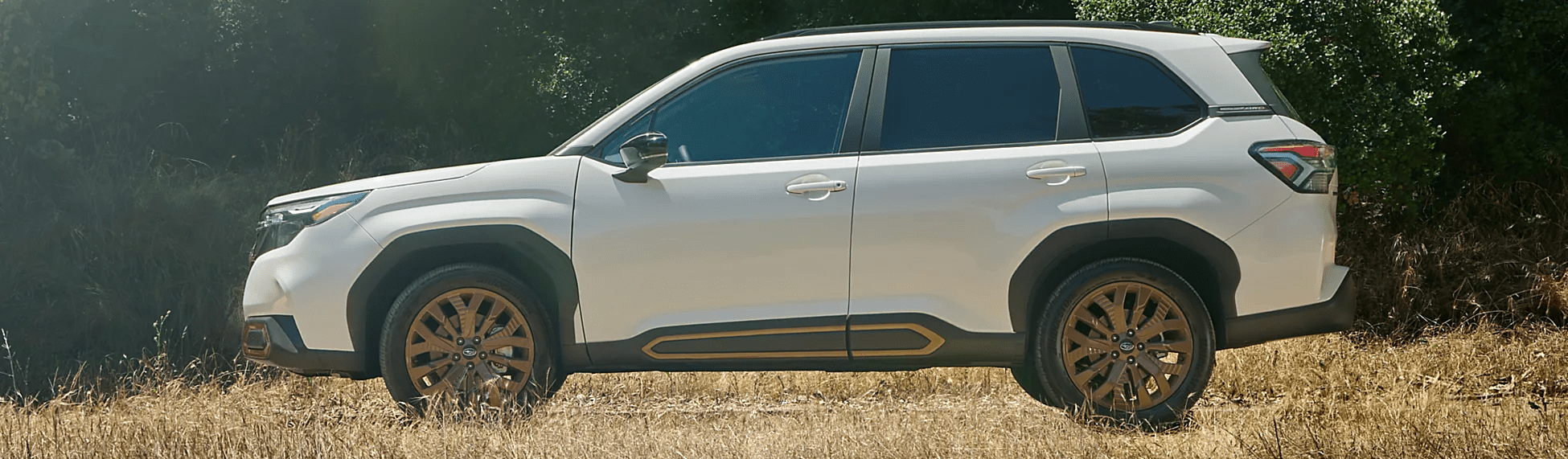 2025 Subaru Forester for Sale near Lutz, FL