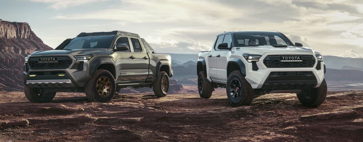 A green 2024 Toyota Tacoma Trailhunter and a white TRD Pro are shown facing opposite directions.
