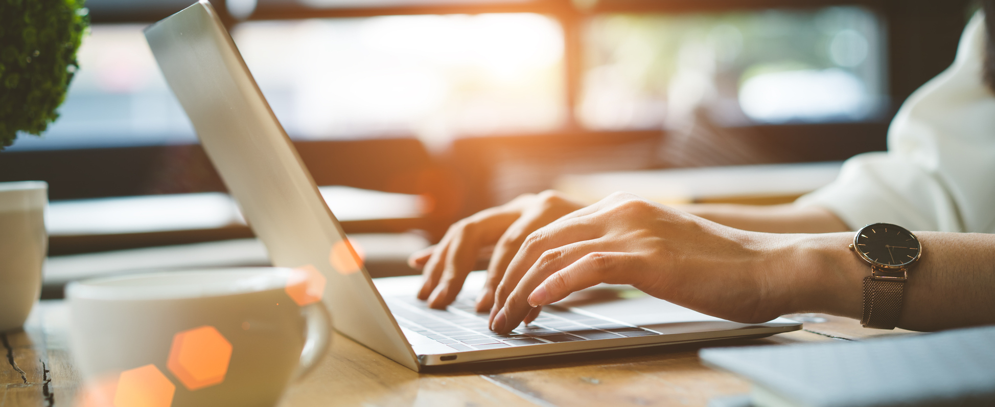 Schedule An Appointment Online Today!