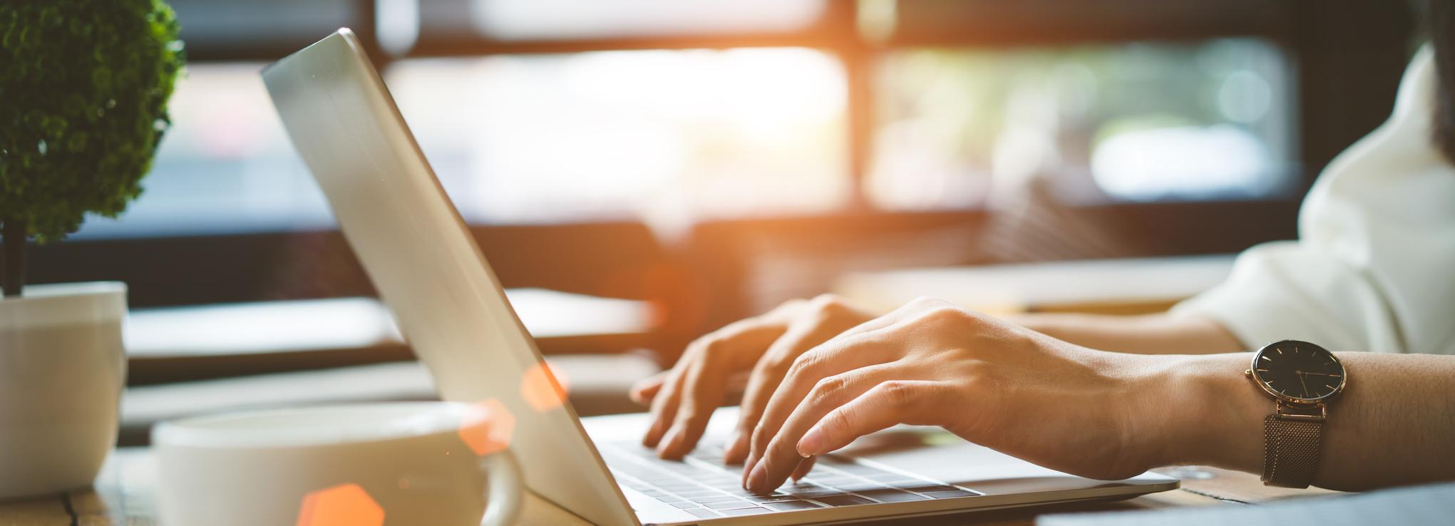 Schedule An Appointment Online Today!