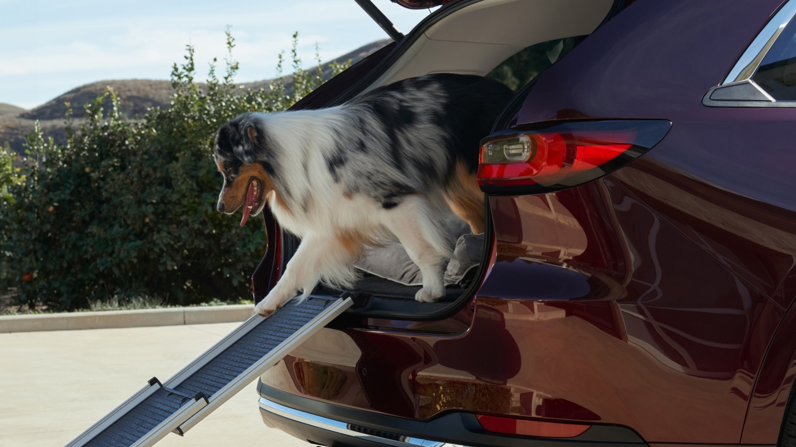 2025 MAZDA CX-90 Trunk Space