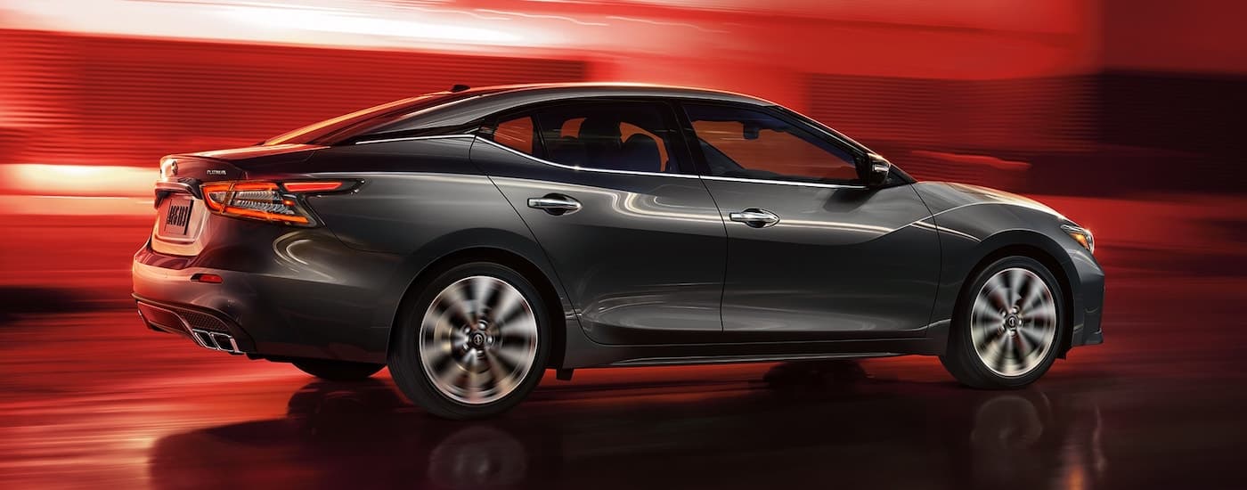 A grey 2023 Nissan Maxima is shown from the side.