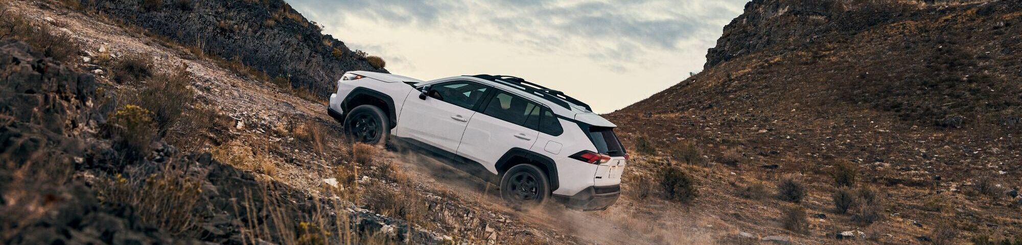 Test Drive the RAV4!