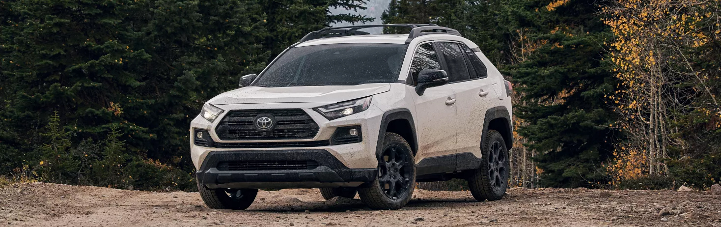 2024 Toyota RAV4 for Sale near Naperville, IL