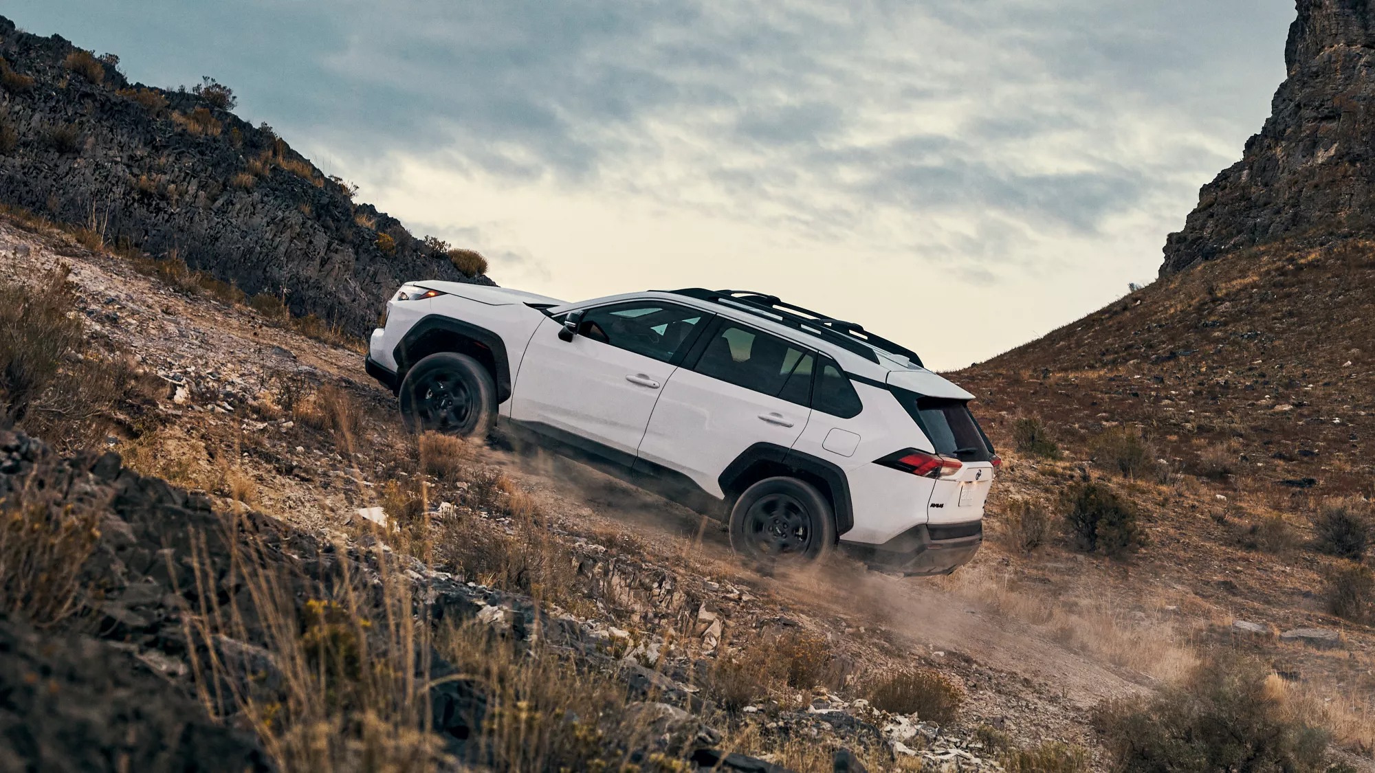 2024 Toyota RAV4 Trim Levels near Des Moines, IA