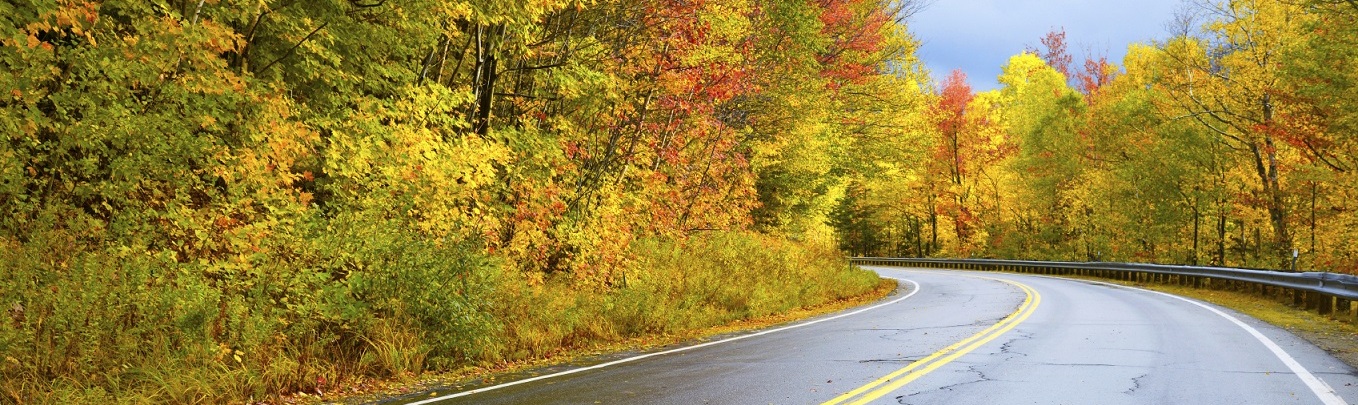 Fall Maintenance near Red Bank, NJ