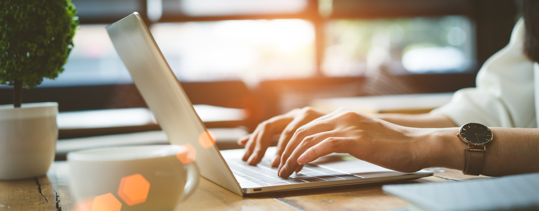 Schedule An Appointment Online Today!