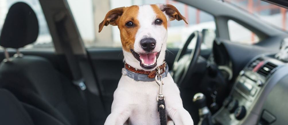 Visit Our Dealership Today!