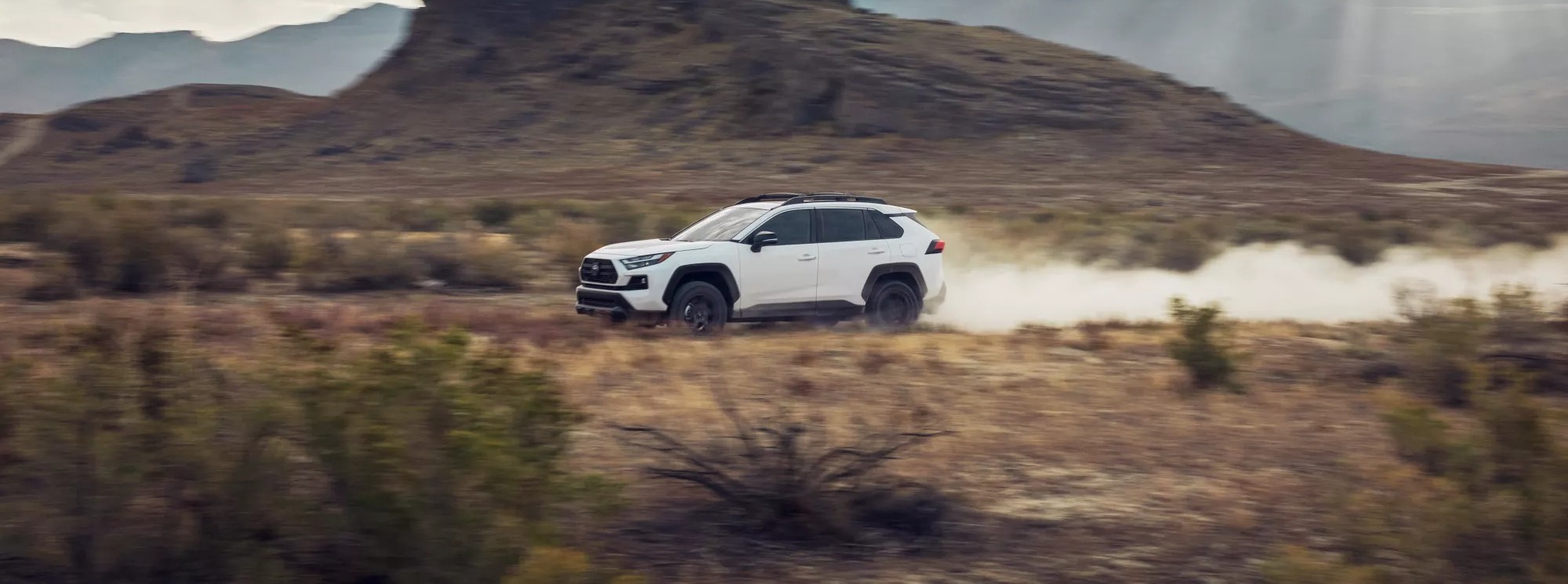 2024 Toyota RAV4 for Sale near Oxnard, CA