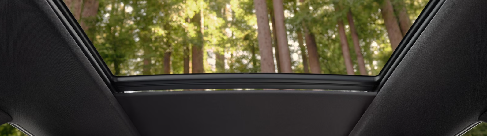 2024 Honda Prologue Panoramic Moonroof