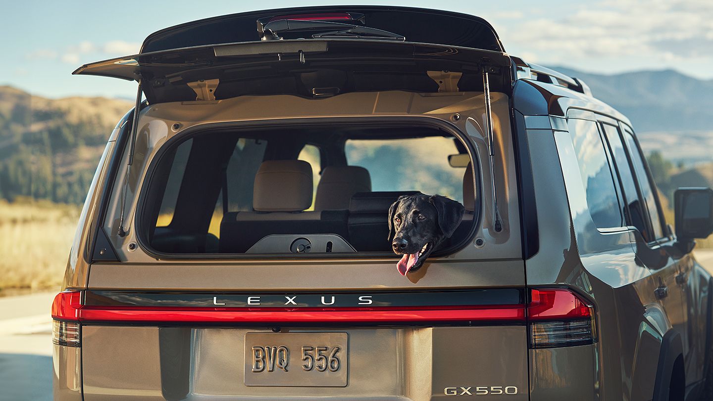 2024 Lexus GX 550 Rear Opening