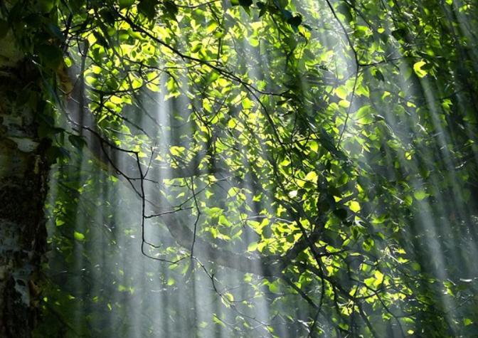 state-parks-near-ypsilanti-mi