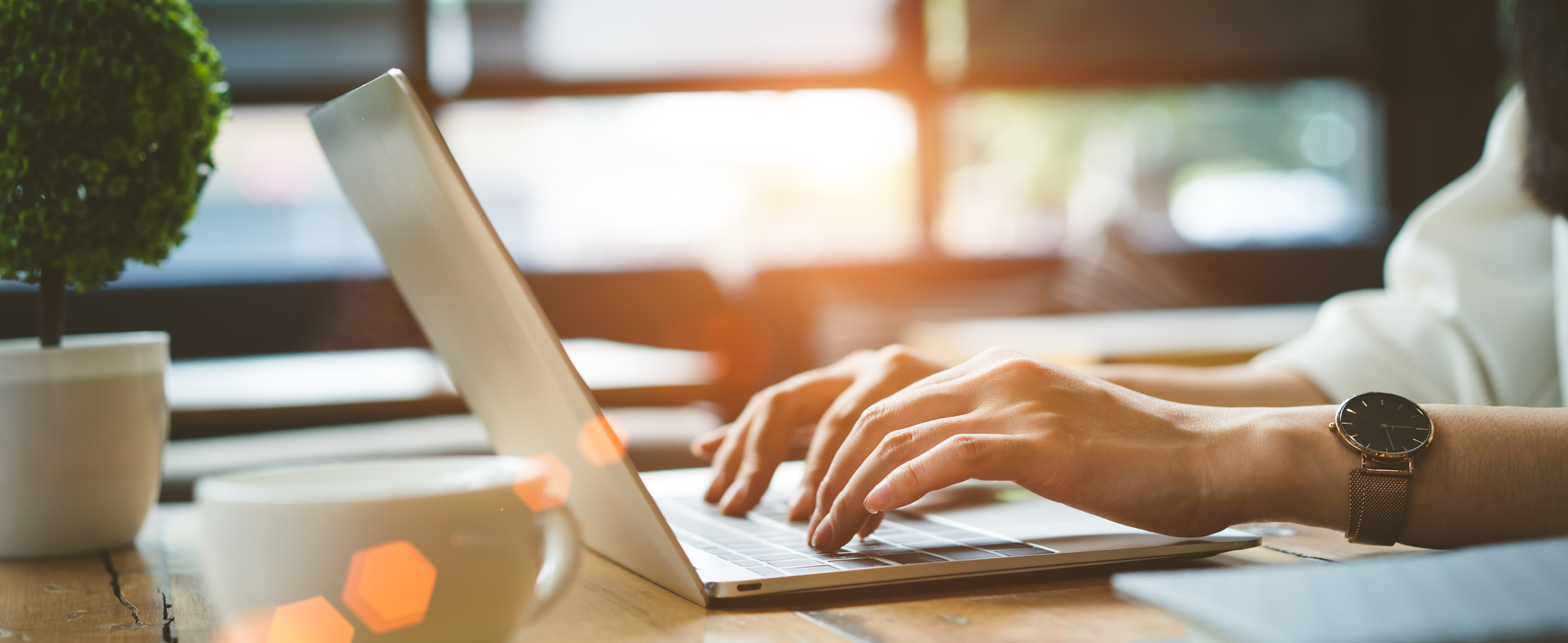 Check Out Our Online Tools Today!