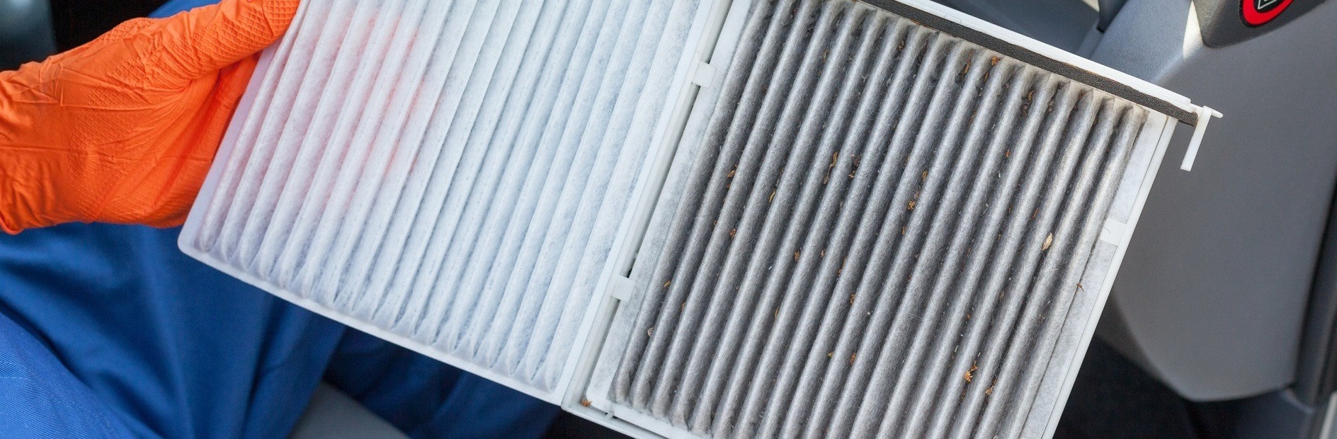 Fall Maintenance near Olathe, KS