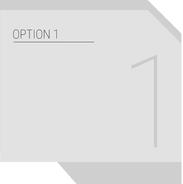 option number 1