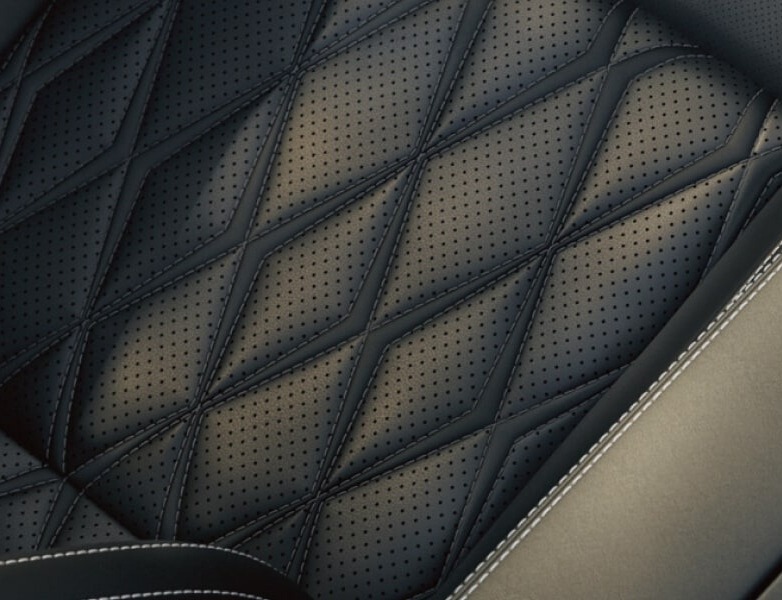 2025 Rogue Leather Upholstery