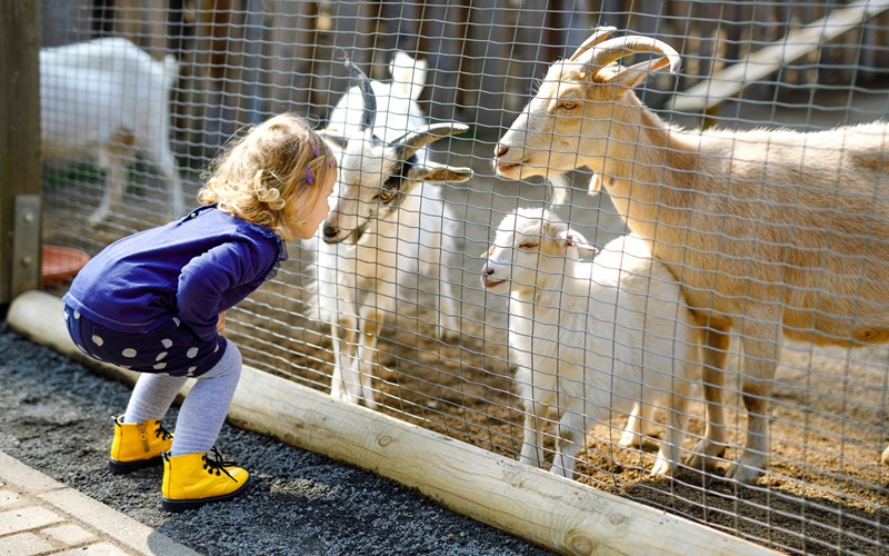 About Staten Island, NY