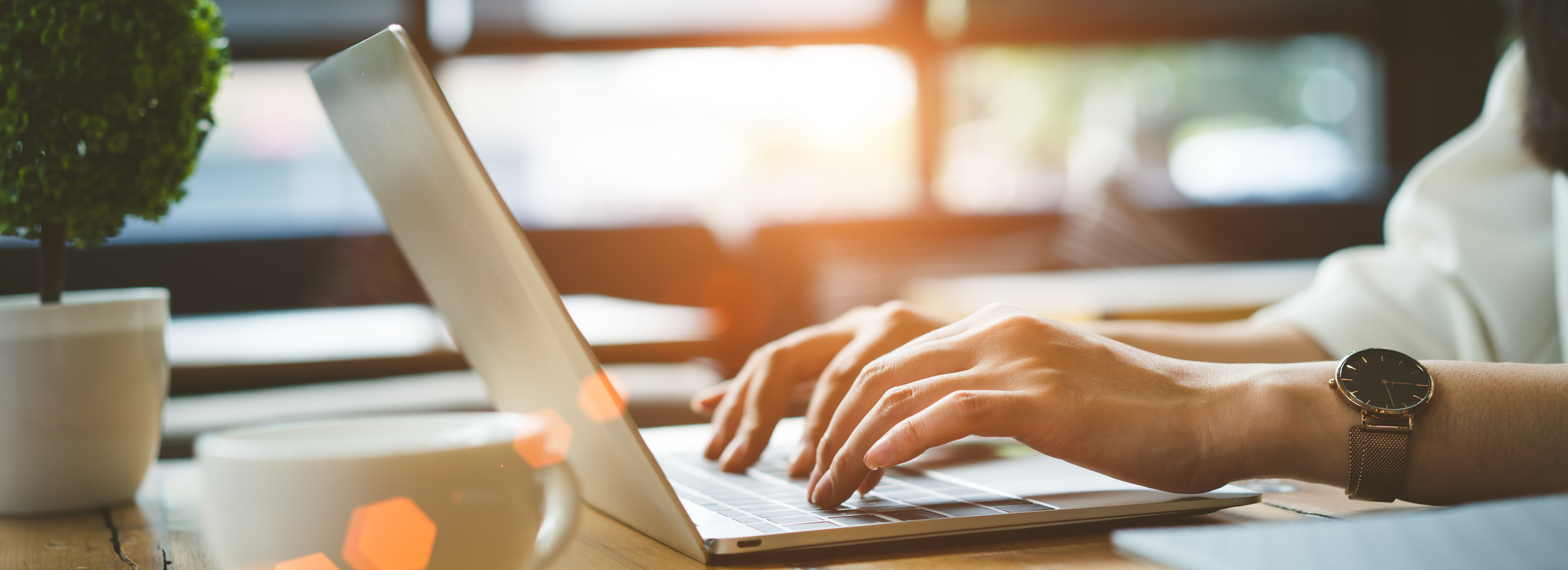 Check Out Our Service Specials Online!