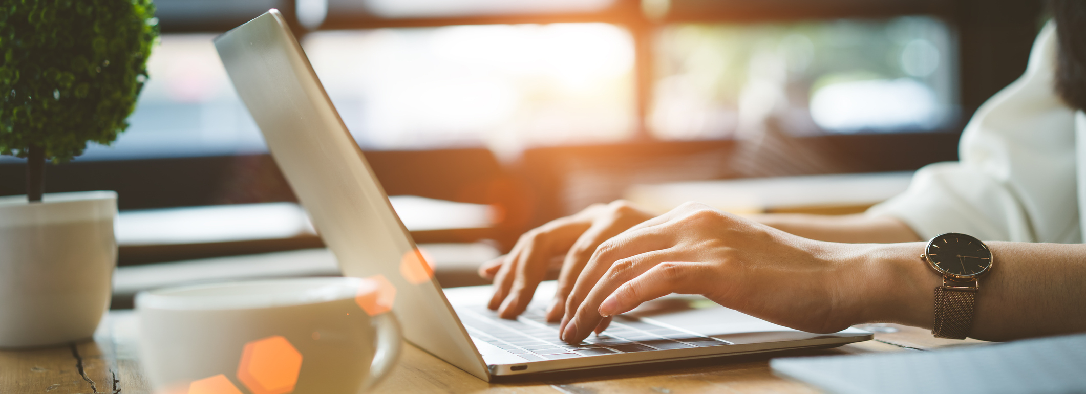 Schedule an Appointment Online!