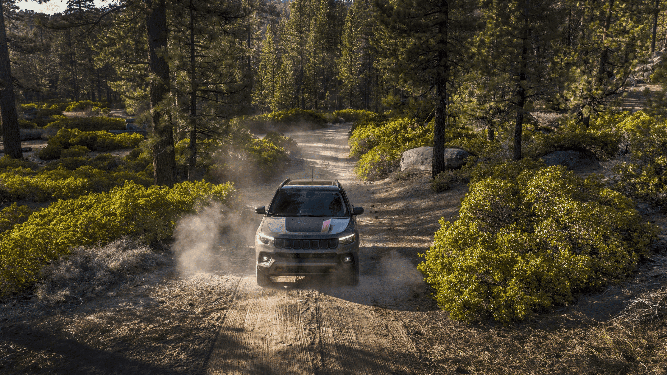 2024 Jeep Compass navigating a forest trail, kicking up dust on rugged terrain.