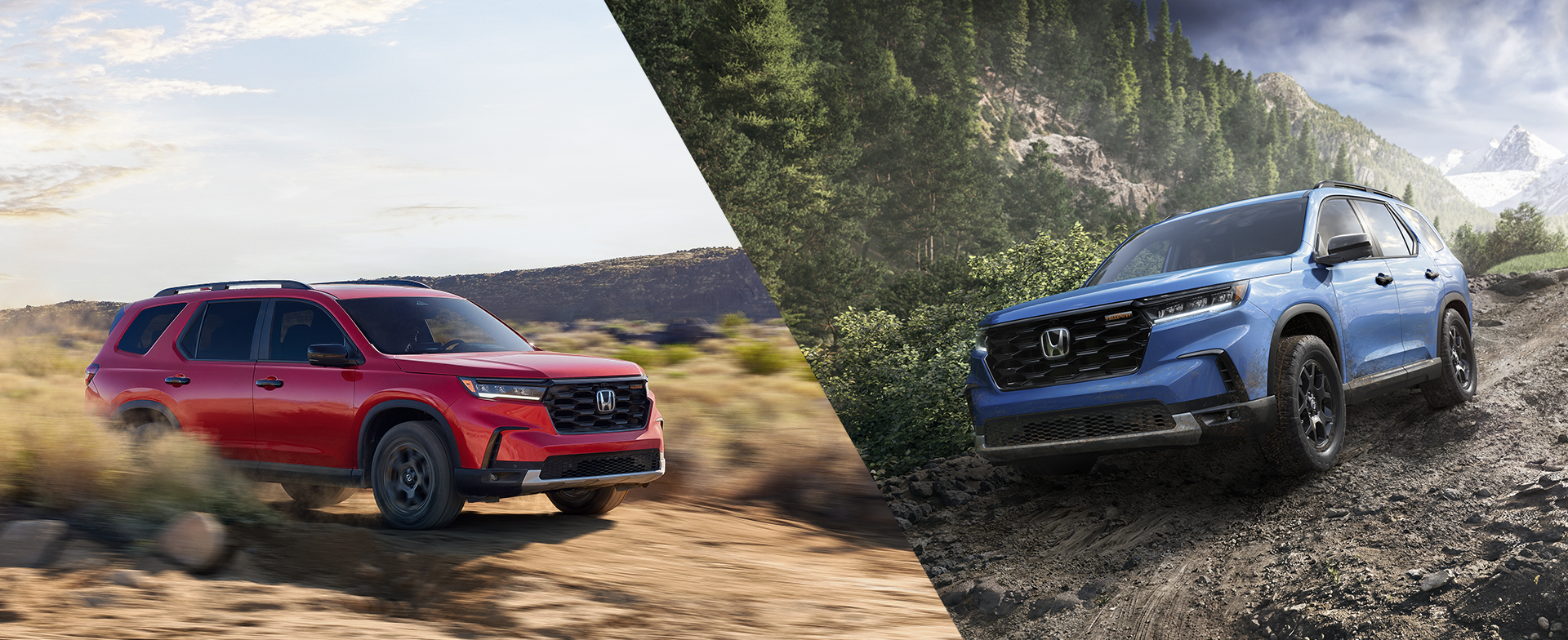 2025 Honda Pilot vs 2024 Honda Pilot - Future Honda of Citrus Heights