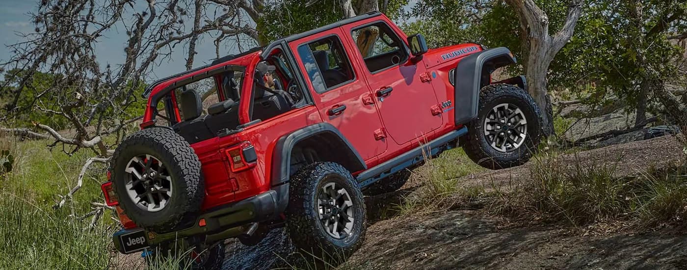 A red 2025 Jeep Wrangler Rubicon is off-roading on a dirt trail near a tree.