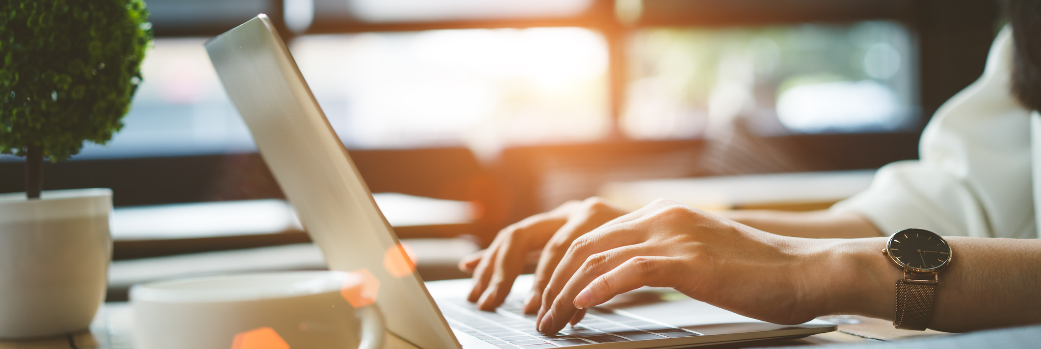 Schedule an Appointment Online!