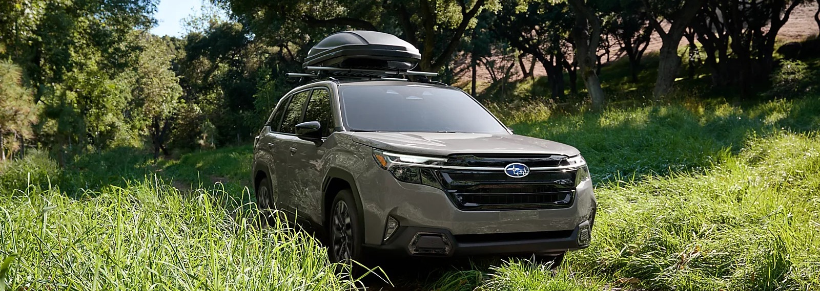 2025 Subaru Forester Lease in Fredericksburg, VA