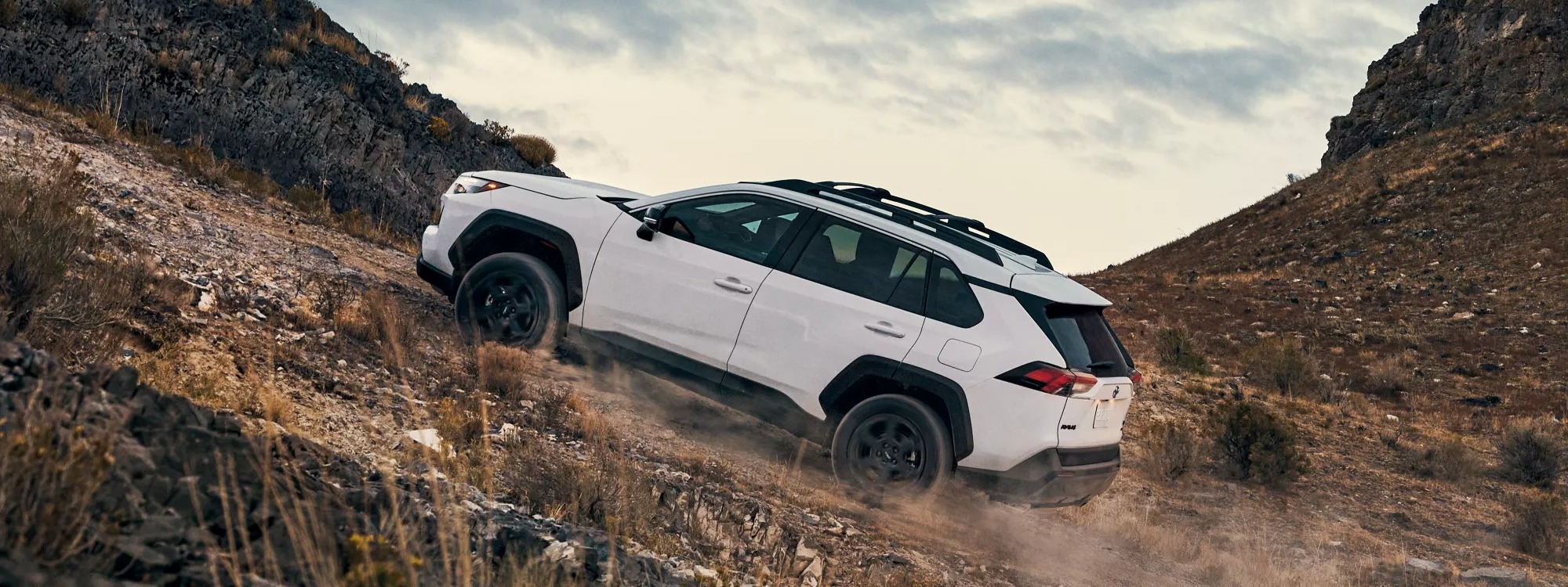 2025 Toyota RAV4 for Sale near Woodland Hills, CA