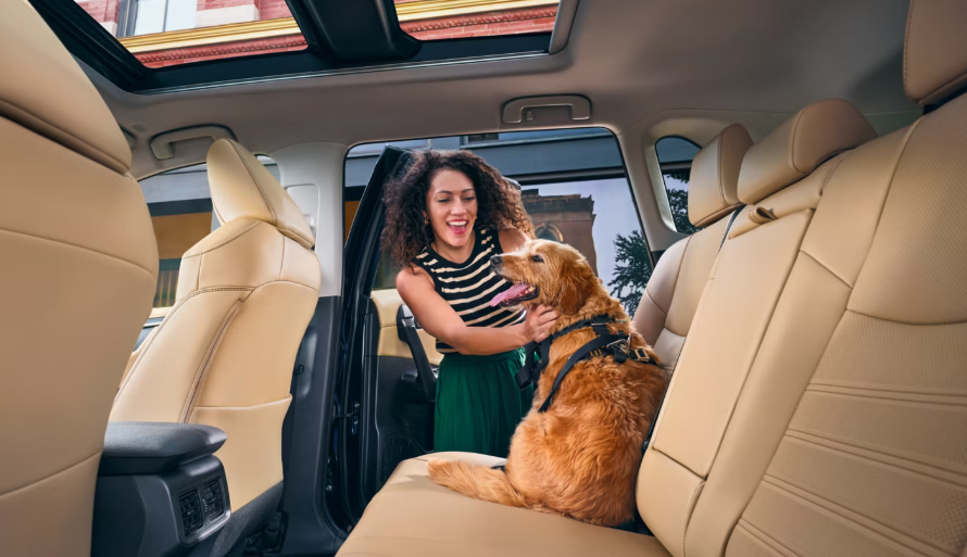 2025 Toyota RAV4 Second-Row Seats