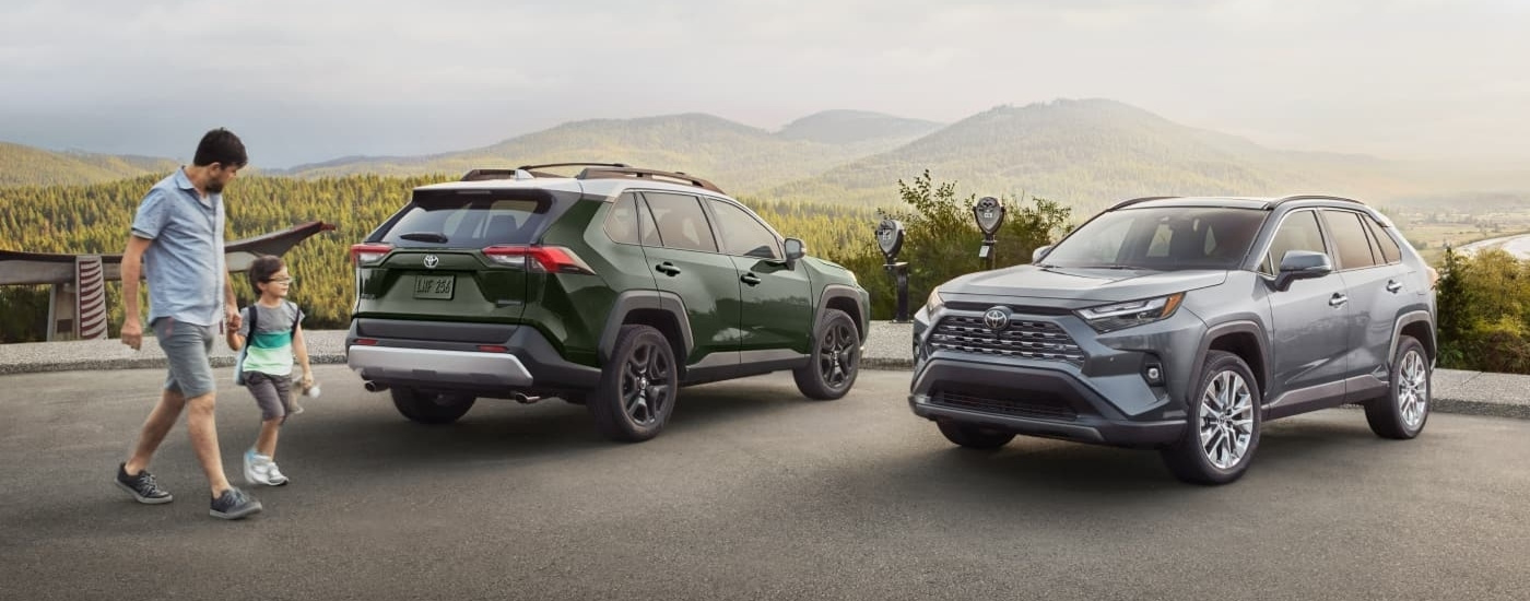 A green and a silver 2024 Toyota RAV4 are shown at an overlook.