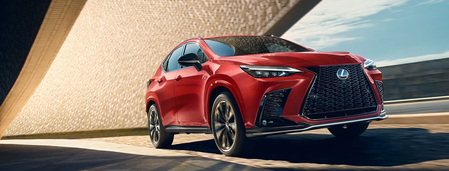 2025 Lexus NX 250 for Sale in Hardeeville, SC