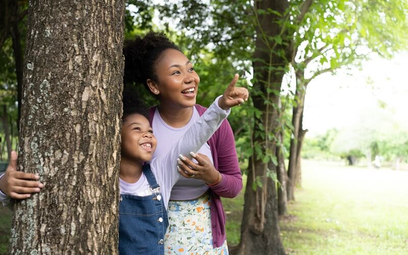 About Palisades Park NJ