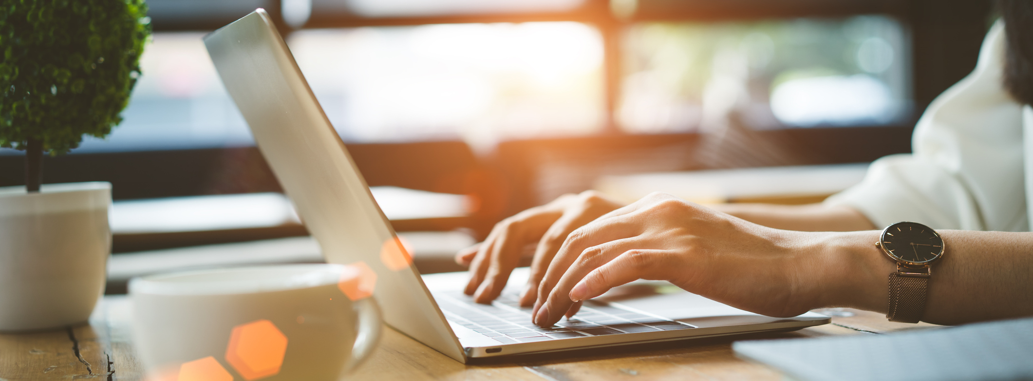 Schedule An Appointment Online Today!