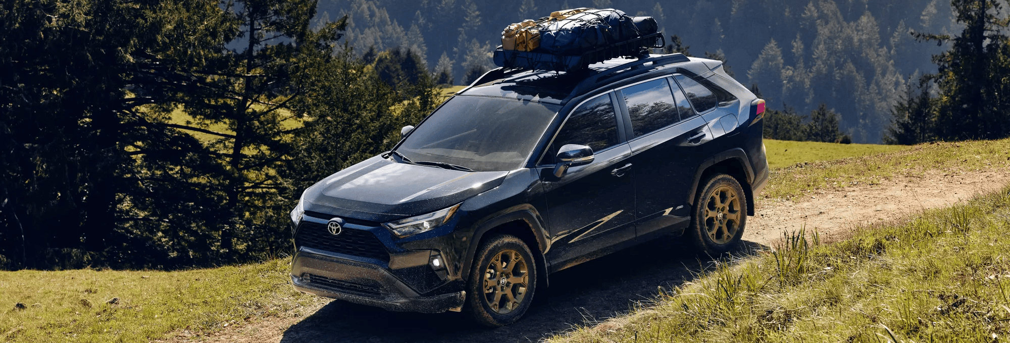 2025 Toyota RAV4 Hybrid for Sale in Jamaica, NY