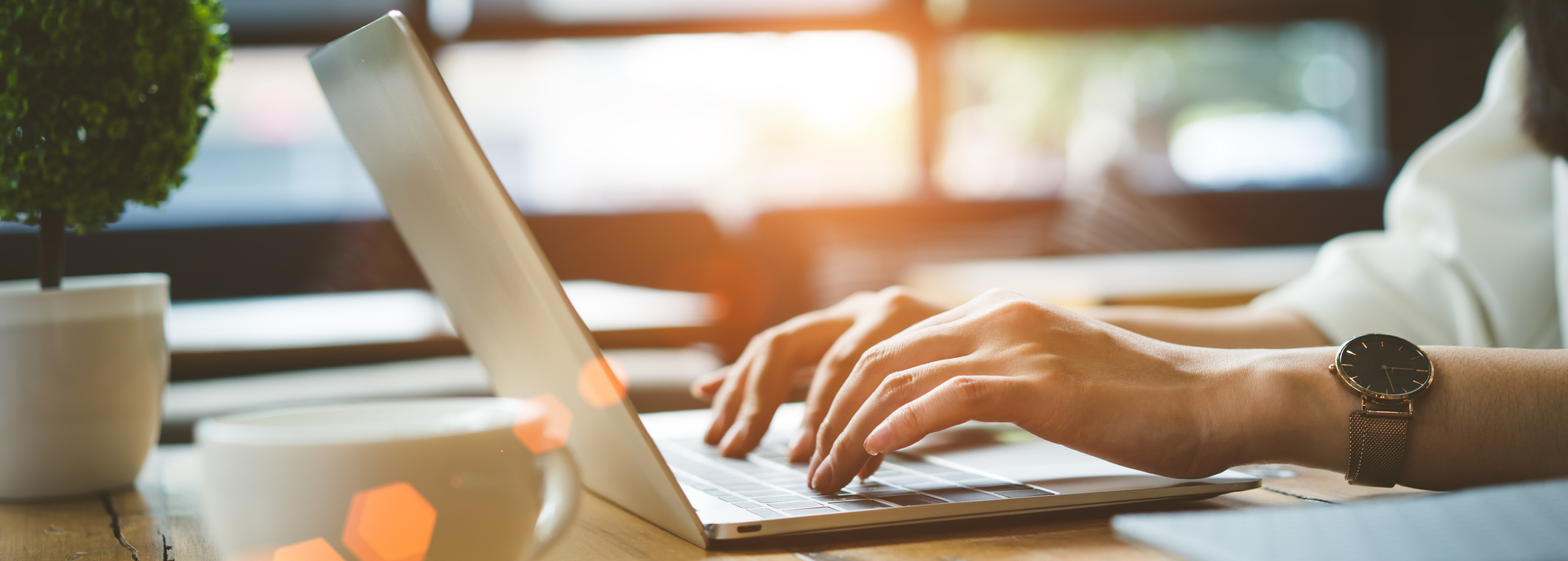 Schedule An Appointment Online Today!