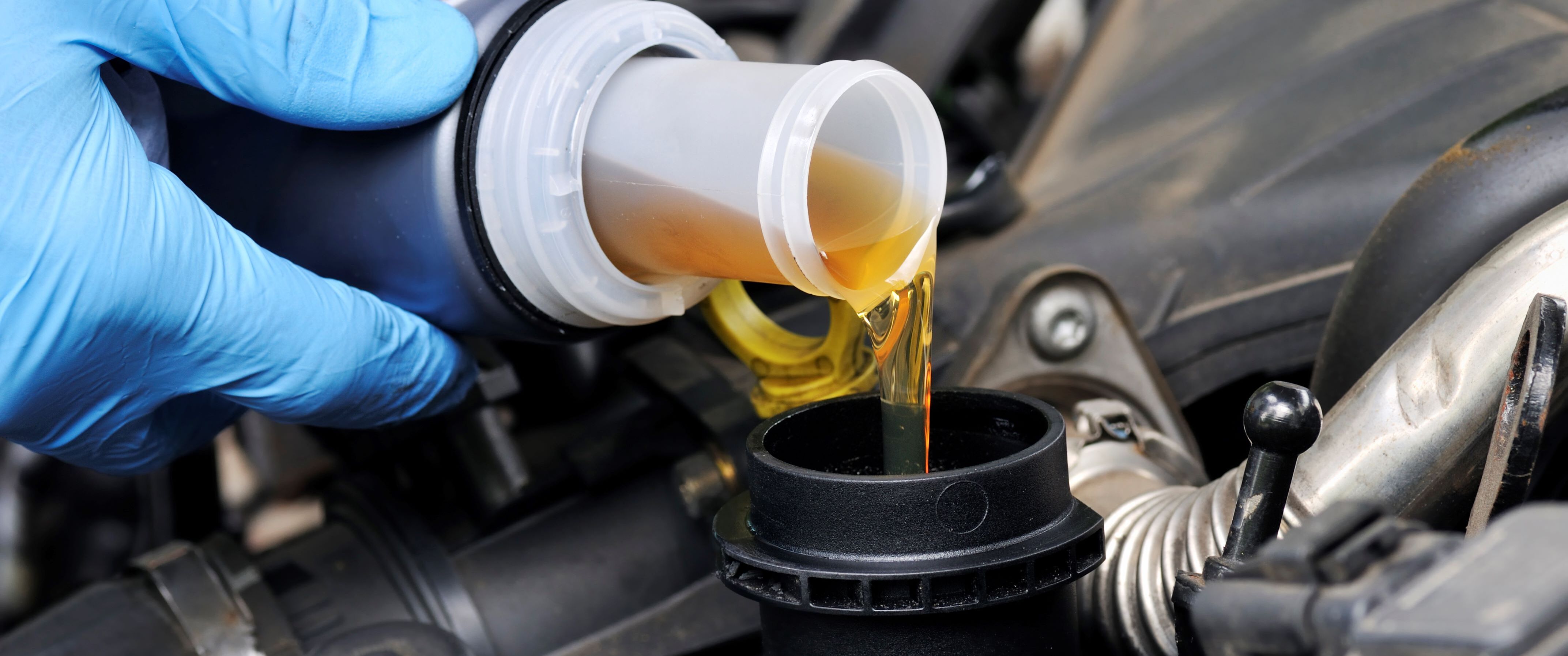 BMW Oil Change Service near Greenwich, CT