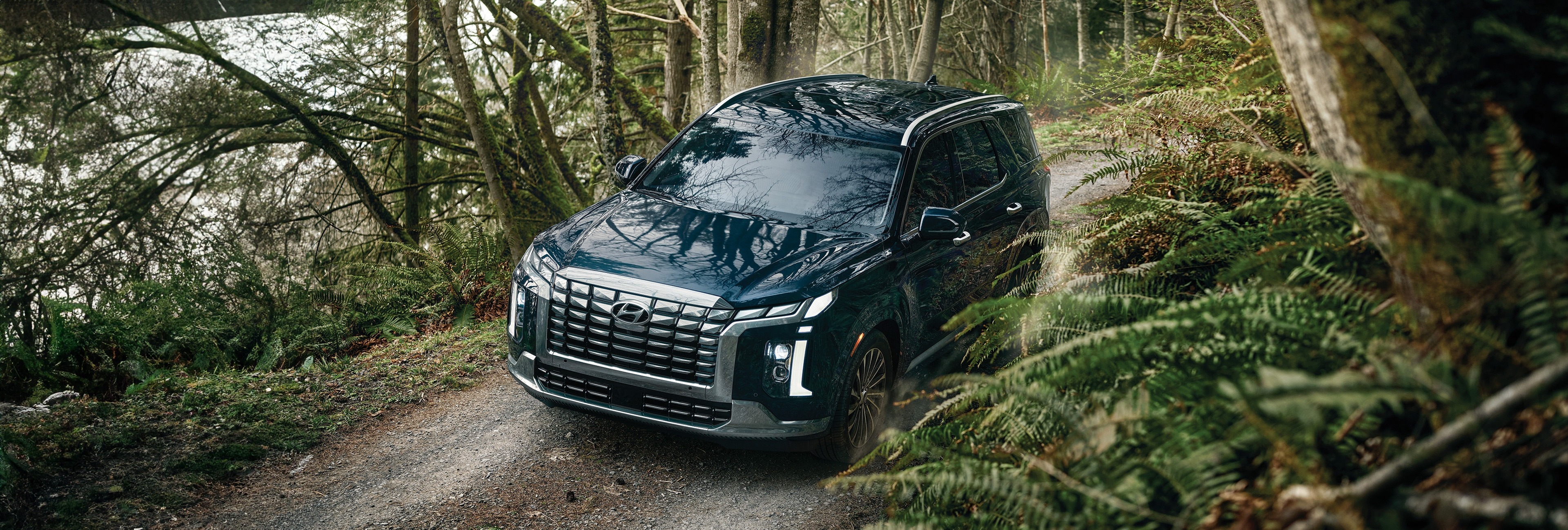 2025 Hyundai PALISADE for Sale near South Edmonton, AB