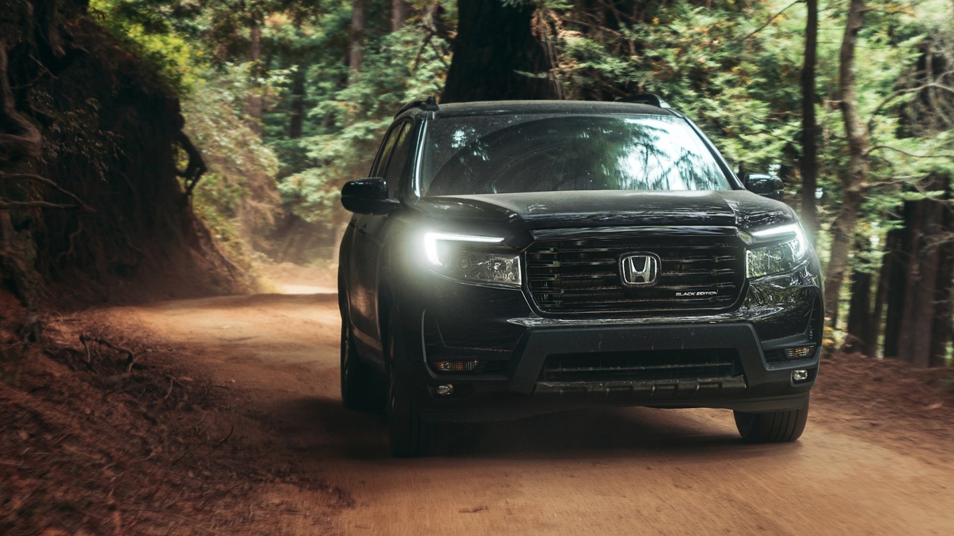 2025 Honda Passport for Sale near Berkeley Township, NJ