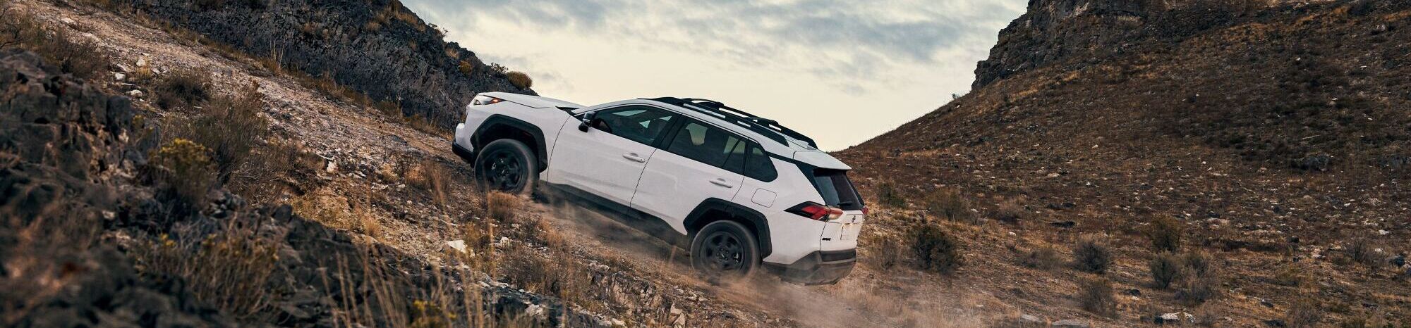Test Drive the RAV4!