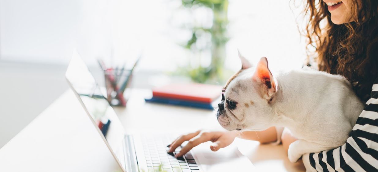 Value Your Trade Online in North Aurora, IL