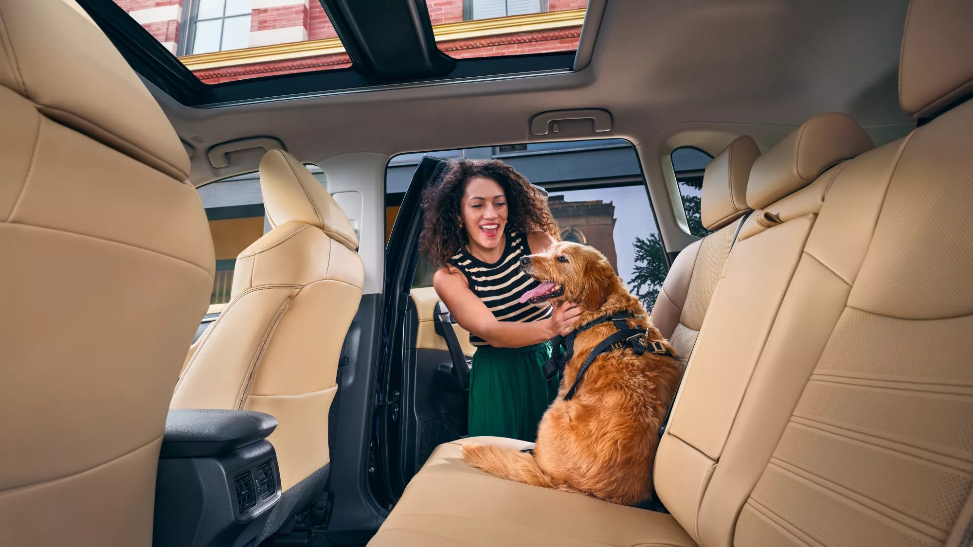 2025 RAV4 XLE Seating