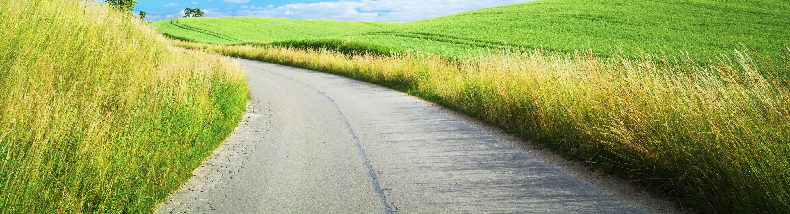 Travel the Open Road in a Set of Summer Tires!
