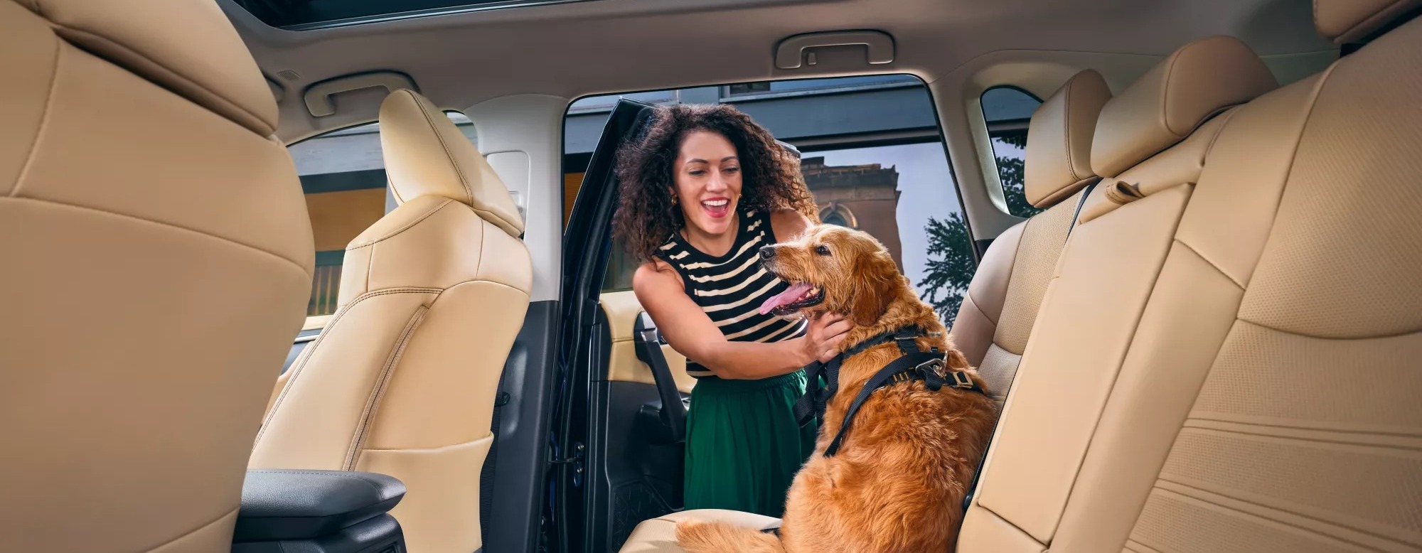 2025 Toyota RAV4 Rear Seating