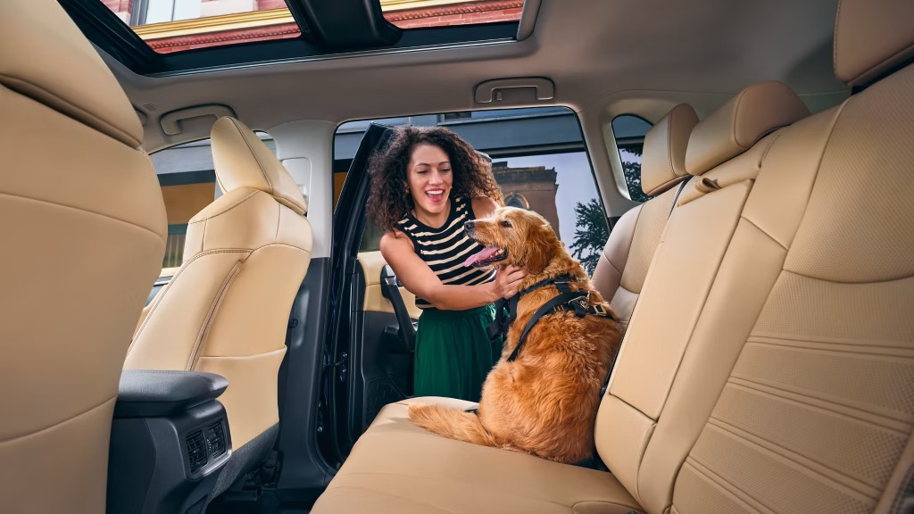 Backseat view of interior seating in the 2025 RAV4