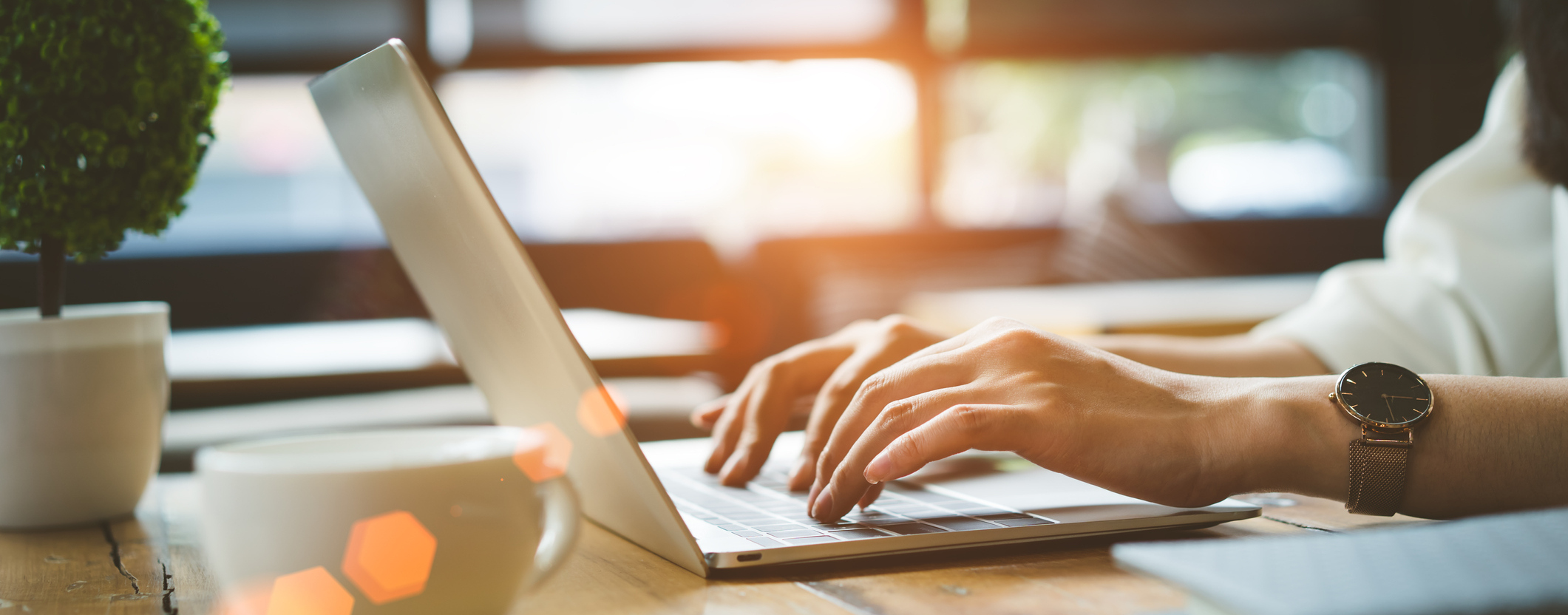 Schedule An Appointment Online Today!