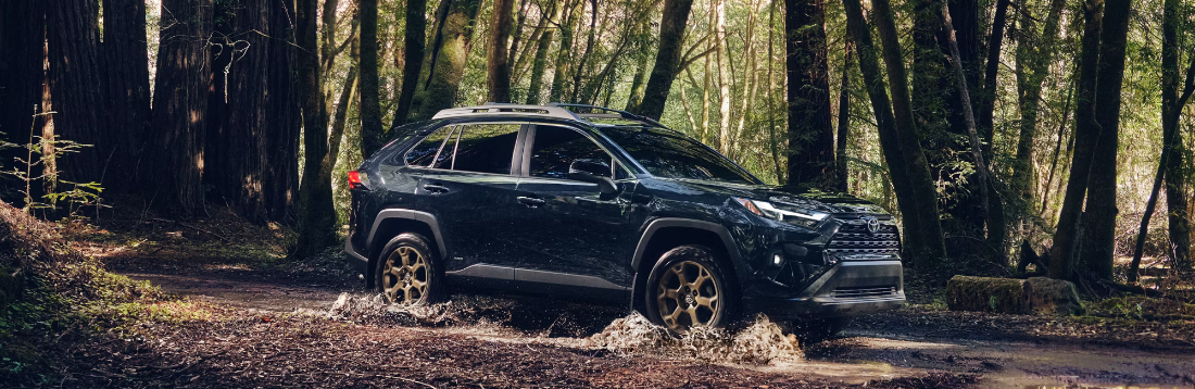 2025 Toyota RAV4 Hybrid for Sale near Richmond, VA