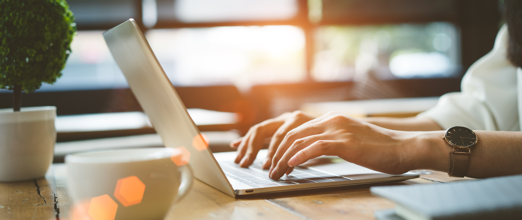 Schedule an Appointment Online!