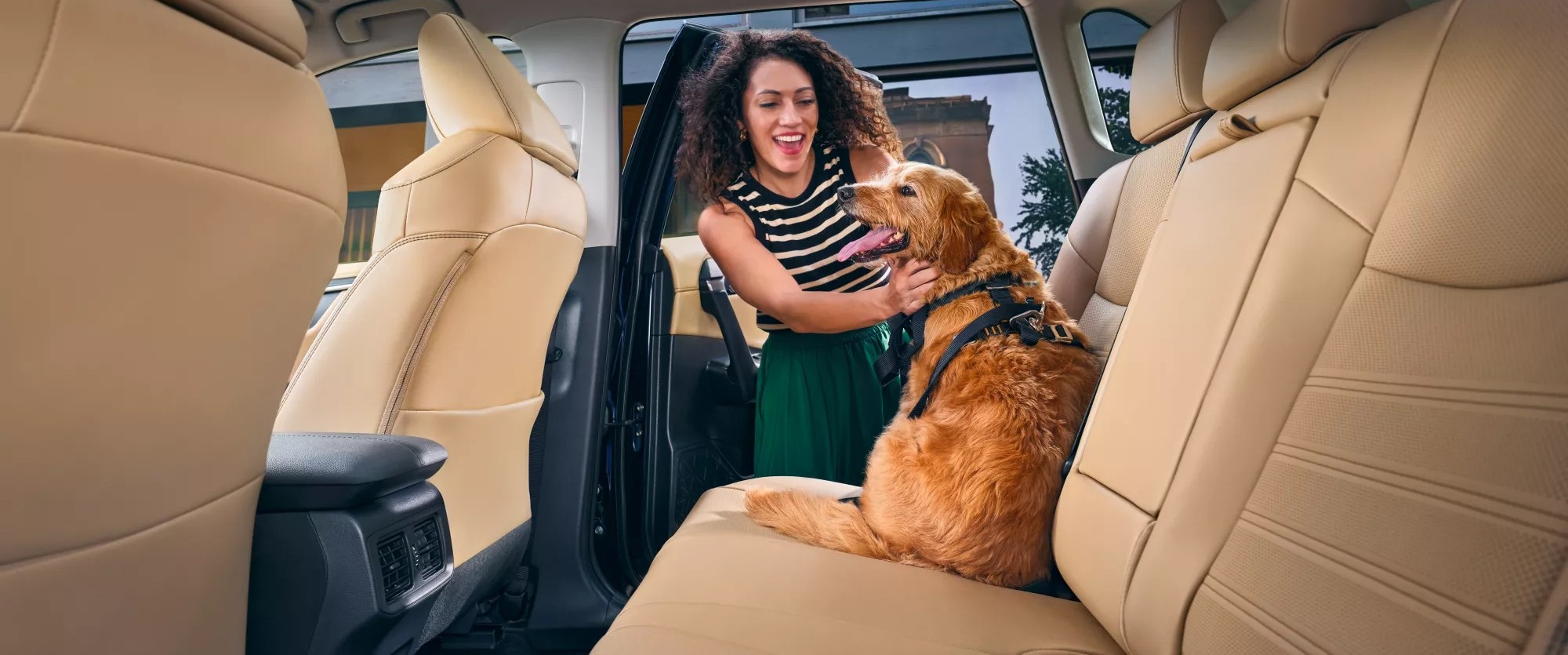 2025 Toyota RAV4 Hybrid Rear Seat